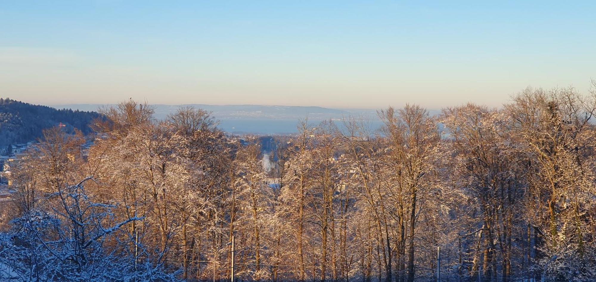 1 Zentral Ruhig Mit Flair Im Gertrud Schloessli 3z1 Quarto em Acomodações Particulares St. Gallen
